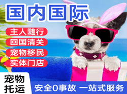 哈密空运国际宠物托运 【国